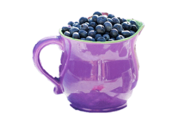 Blueberrie Suprise
